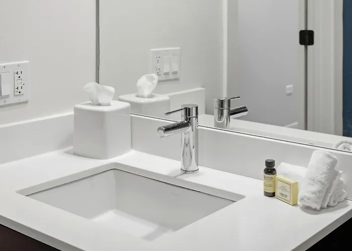 The Plymouth Chicago 4-Br Apartment In Printers Row - Free Parking, Gym & Rooftop Chicago